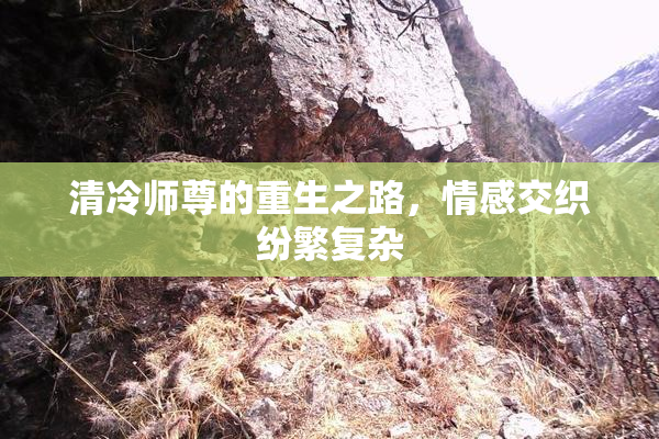 清冷师尊的重生之路，情感交织纷繁复杂