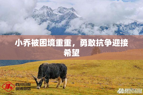 小乔被困境重重，勇敢抗争迎接希望