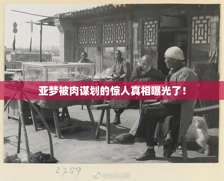 亚梦被肉谋划的惊人真相曝光了！