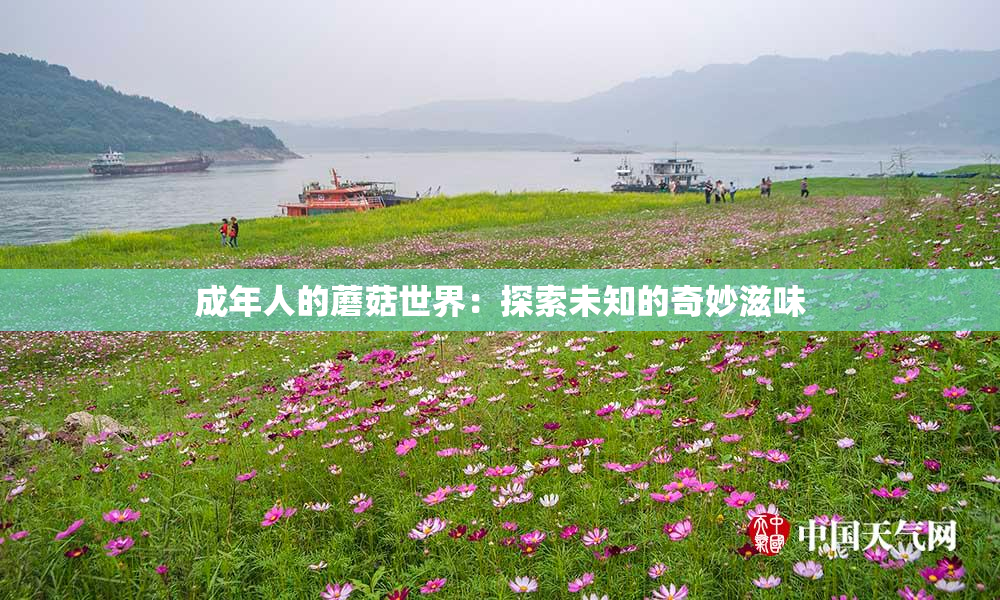 成年人的蘑菇世界：探索未知的奇妙滋味