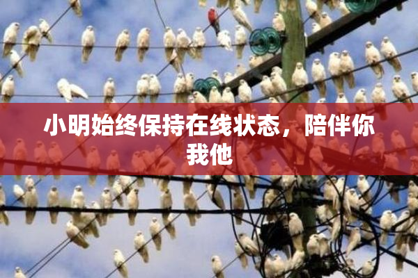 小明始终保持在线状态，陪伴你我他