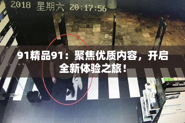91精品91：聚焦优质内容，开启全新体验之旅！