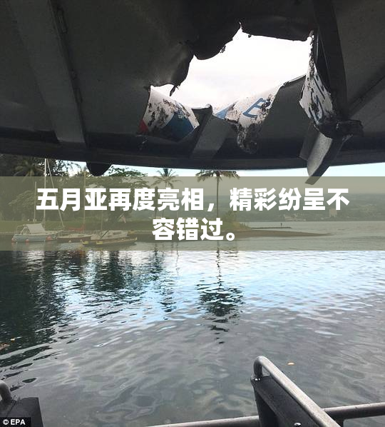 五月亚再度亮相，精彩纷呈不容错过。
