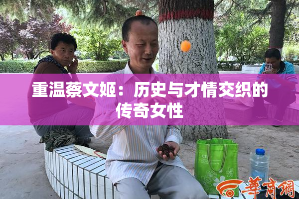 重温蔡文姬：历史与才情交织的传奇女性