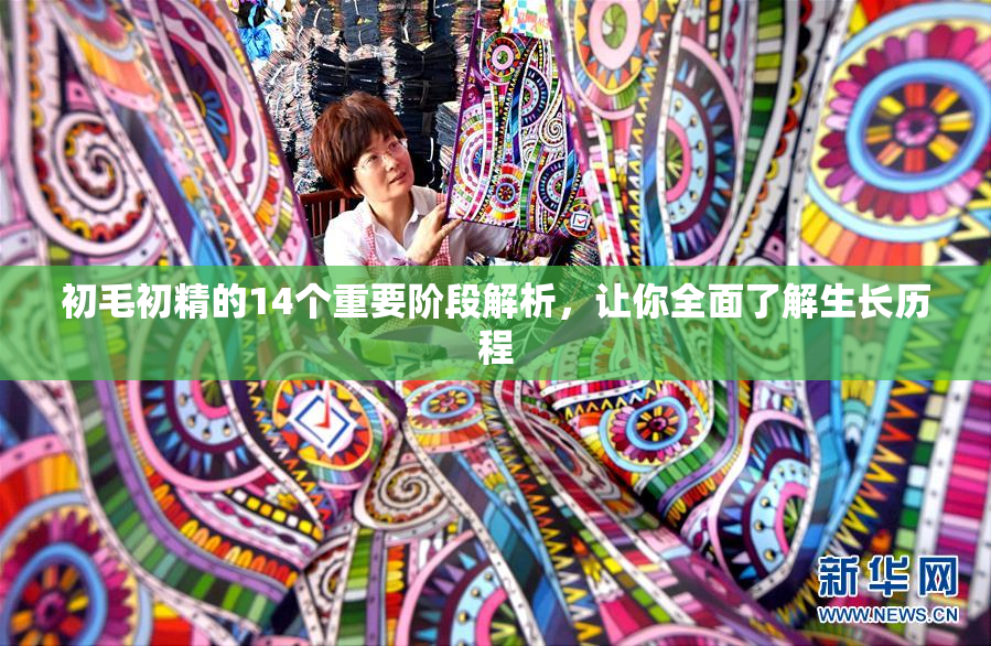 初毛初精的14个重要阶段解析，让你全面了解生长历程
