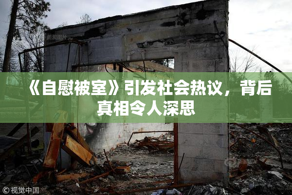 《自慰被室》引发社会热议，背后真相令人深思
