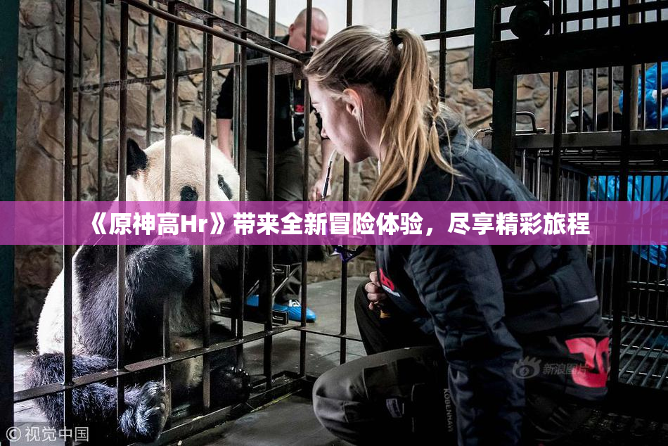 《原神高Hr》带来全新冒险体验，尽享精彩旅程