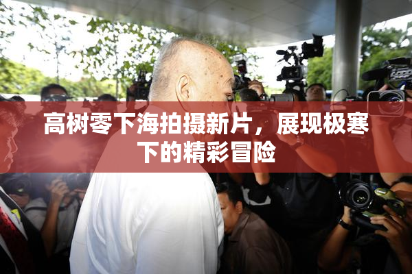 高树零下海拍摄新片，展现极寒下的精彩冒险
