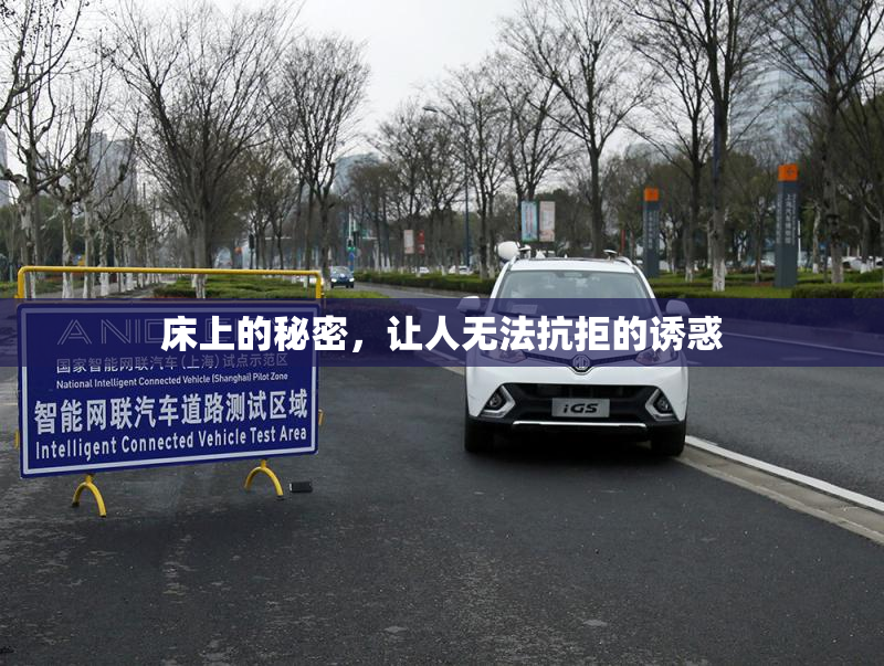 床上的秘密，让人无法抗拒的诱惑
