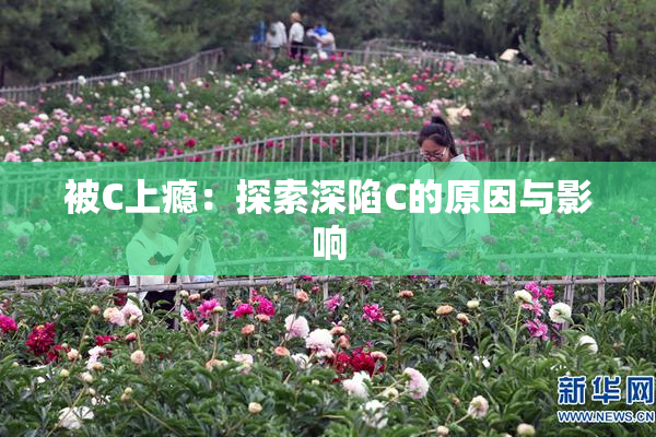 被C上瘾：探索深陷C的原因与影响