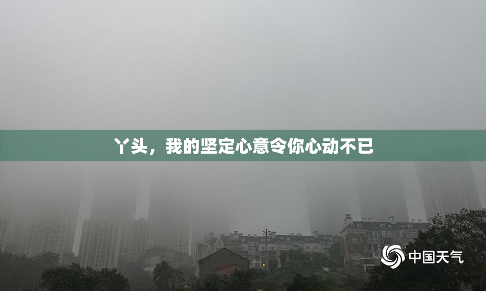 丫头，我的坚定心意令你心动不已