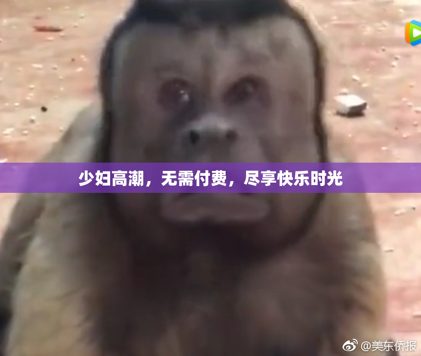 少妇高潮，无需付费，尽享快乐时光