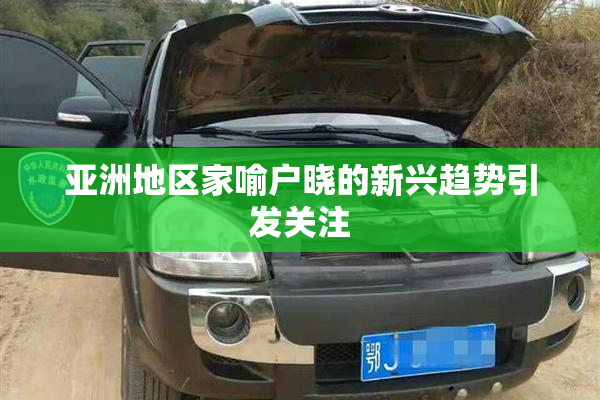 亚洲地区家喻户晓的新兴趋势引发关注