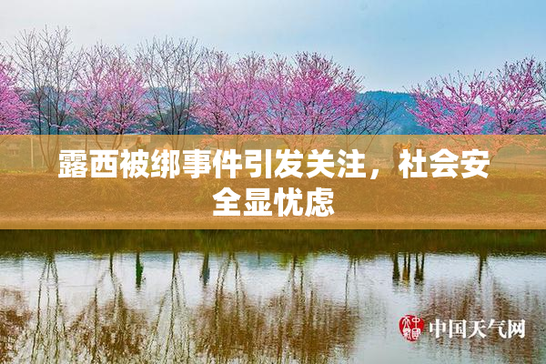 露西被绑事件引发关注，社会安全显忧虑