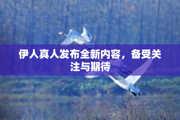 伊人真人发布全新内容，备受关注与期待
