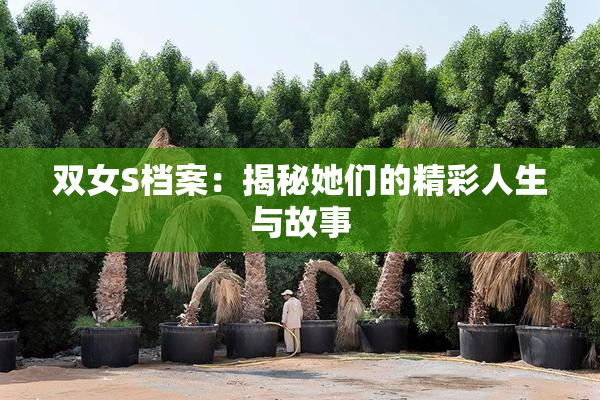双女S档案：揭秘她们的精彩人生与故事