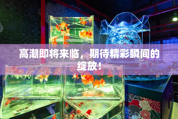 高潮即将来临，期待精彩瞬间的绽放！