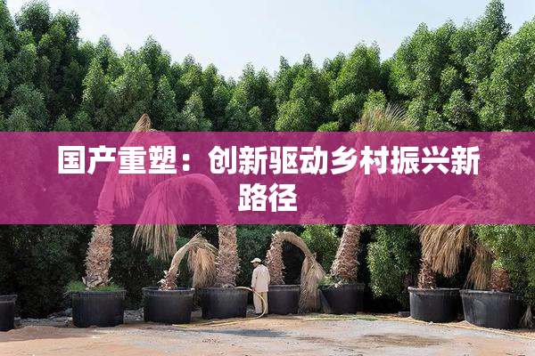 国产重塑：创新驱动乡村振兴新路径