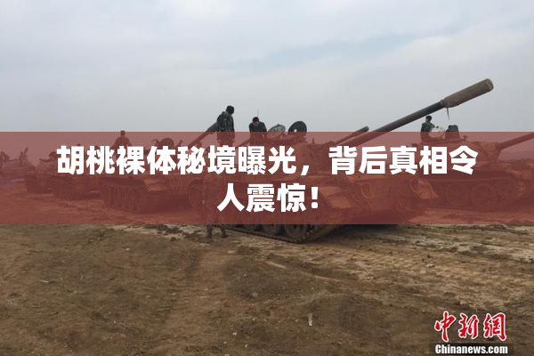 胡桃裸体秘境曝光，背后真相令人震惊！