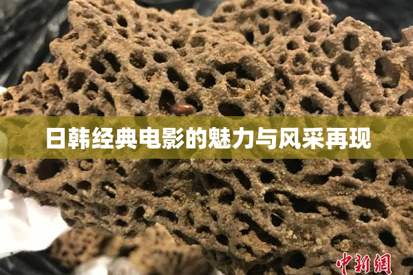 日韩经典电影的魅力与风采再现