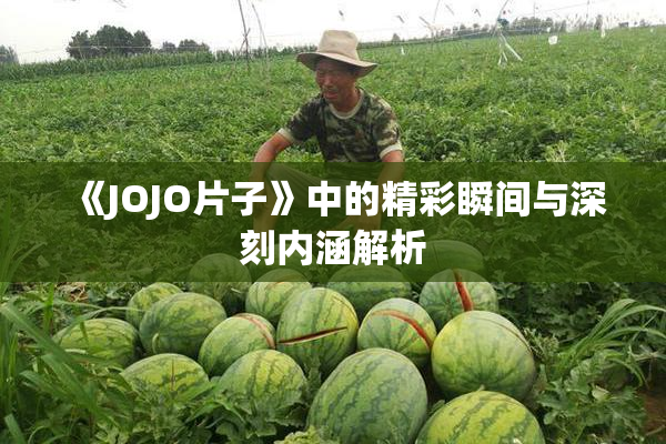 《JOJO片子》中的精彩瞬间与深刻内涵解析