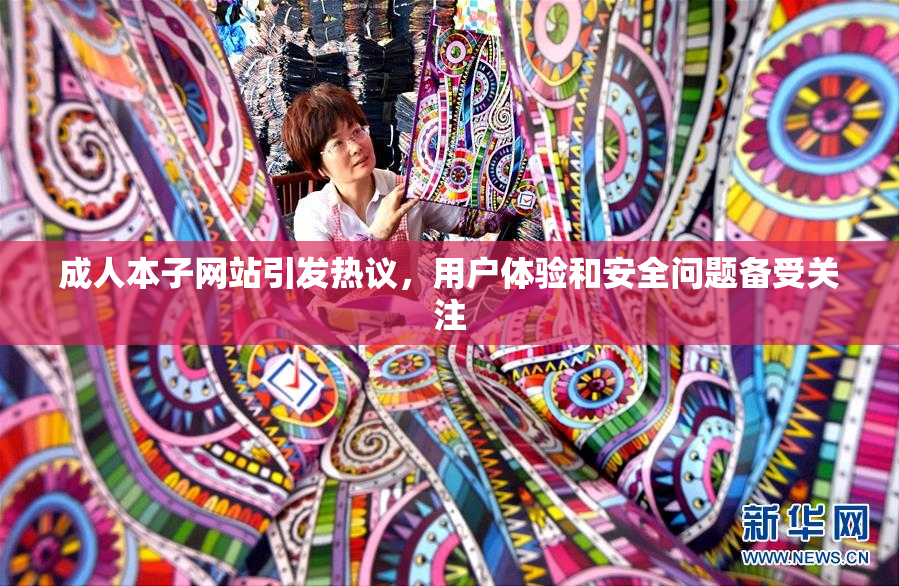 成人本子网站引发热议，用户体验和安全问题备受关注