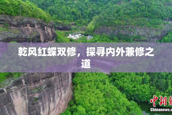 乾风红蝶双修，探寻内外兼修之道