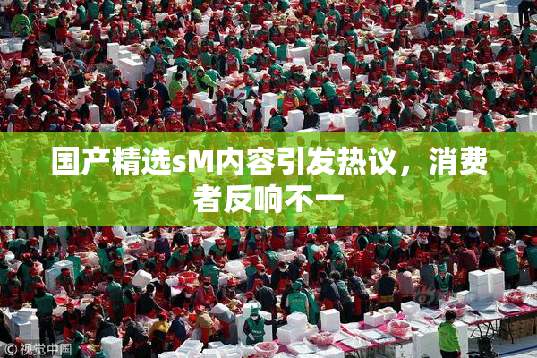国产精选sM内容引发热议，消费者反响不一