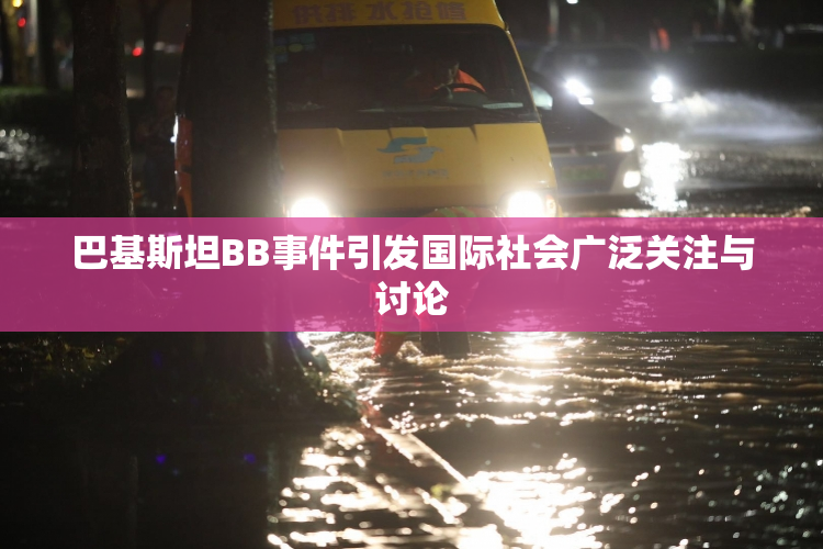 巴基斯坦BB事件引发国际社会广泛关注与讨论