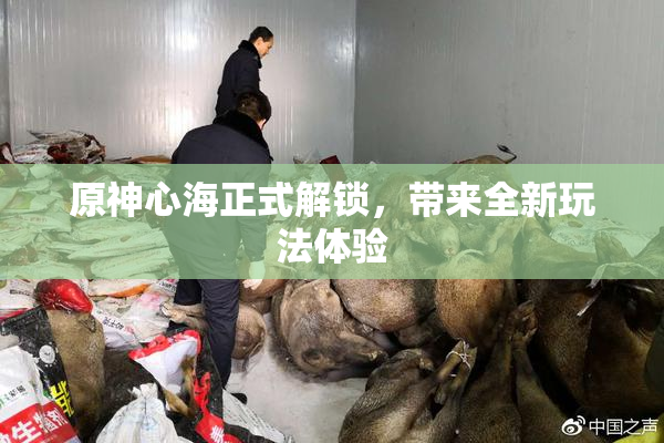 原神心海正式解锁，带来全新玩法体验