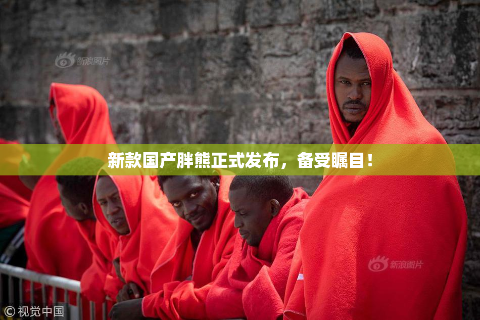 新款国产胖熊正式发布，备受瞩目！
