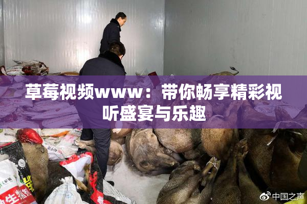 草莓视频www：带你畅享精彩视听盛宴与乐趣