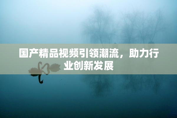 国产精品视频引领潮流，助力行业创新发展