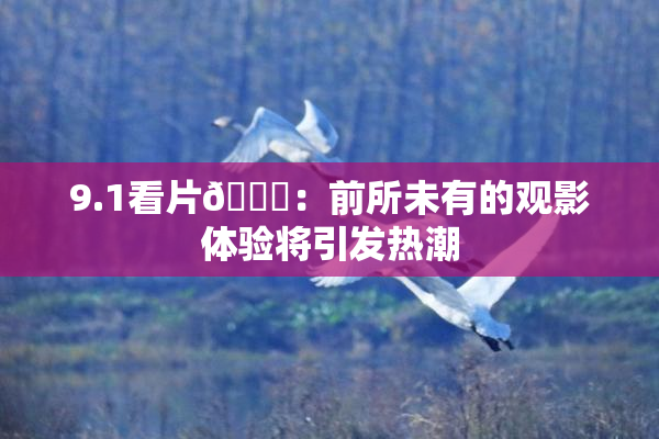 9.1看片🐔：前所未有的观影体验将引发热潮