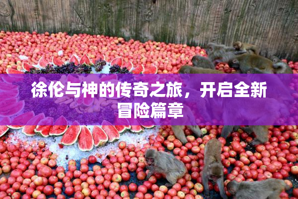 徐伦与神的传奇之旅，开启全新冒险篇章