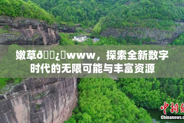 嫩草🌿‌www，探索全新数字时代的无限可能与丰富资源