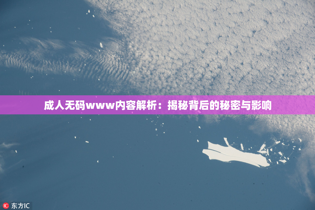 成人无码www内容解析：揭秘背后的秘密与影响