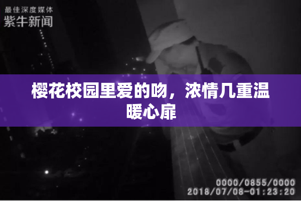樱花校园里爱的吻，浓情几重温暖心扉