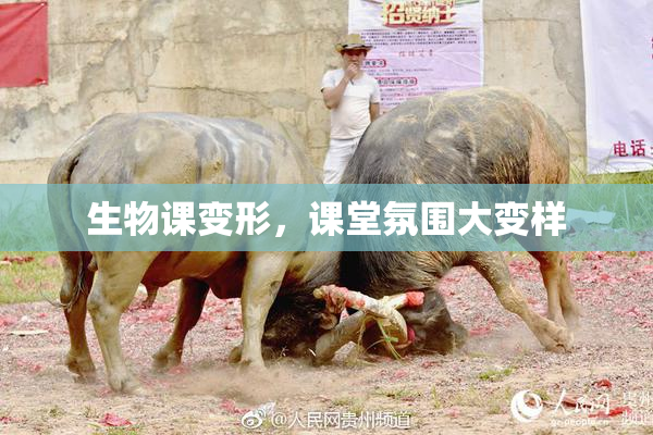 生物课变形，课堂氛围大变样