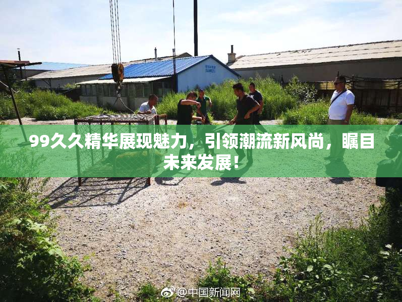 99久久精华展现魅力，引领潮流新风尚，瞩目未来发展！
