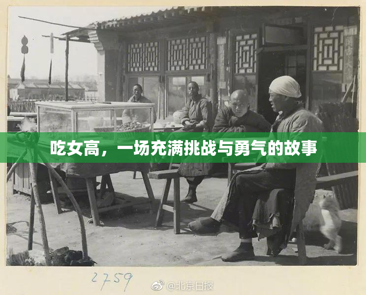 吃女高，一场充满挑战与勇气的故事