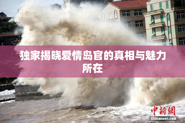 独家揭晓爱情岛官的真相与魅力所在