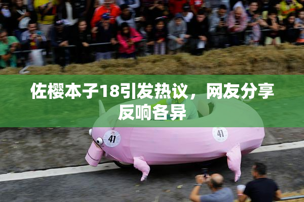 佐樱本子18引发热议，网友分享反响各异