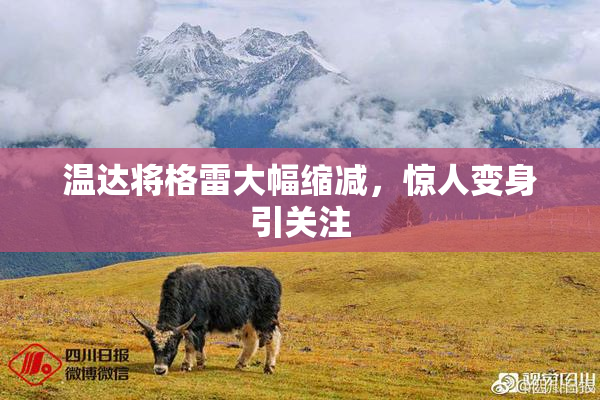 温达将格雷大幅缩减，惊人变身引关注