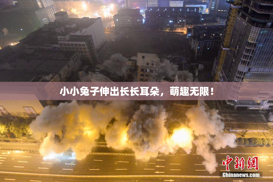 小小兔子伸出长长耳朵，萌趣无限！