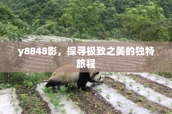 y8848影，探寻极致之美的独特旅程