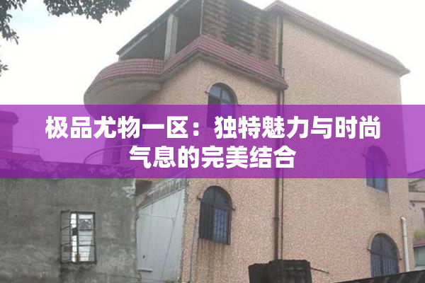 极品尤物一区：独特魅力与时尚气息的完美结合