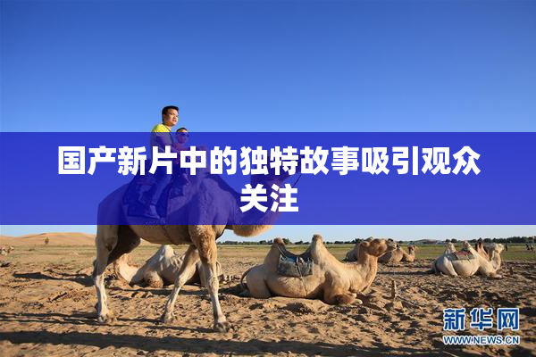 国产新片中的独特故事吸引观众关注