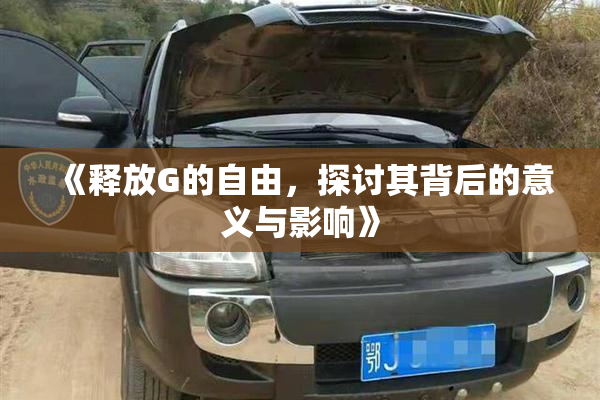 《释放G的自由，探讨其背后的意义与影响》
