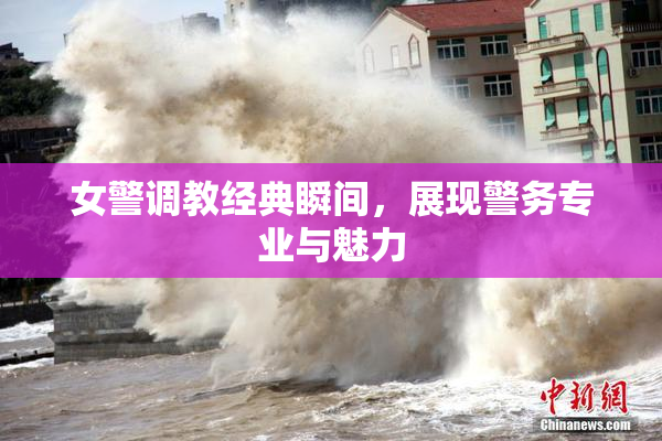 女警调教经典瞬间，展现警务专业与魅力
